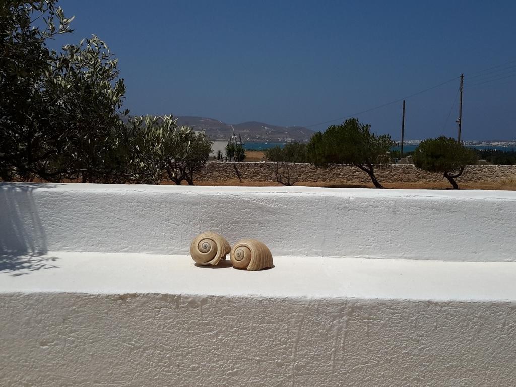 Wind Villas Púnda Kültér fotó